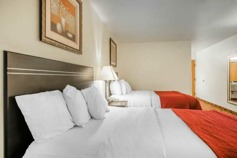 Quality & Hotel